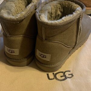 UGG Mini Boots in Chestnut Suede with Shearling Trim